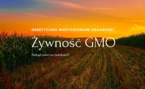 Żywność GMO toksyczność dowiedziona w badaniach