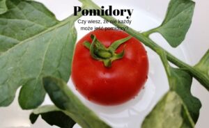 Właściwości zdrowotne pomidorów i przeciwwskazania.